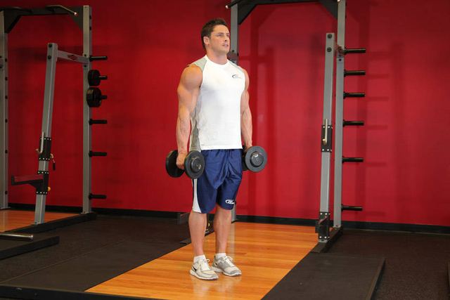 Hammer Curls – start position